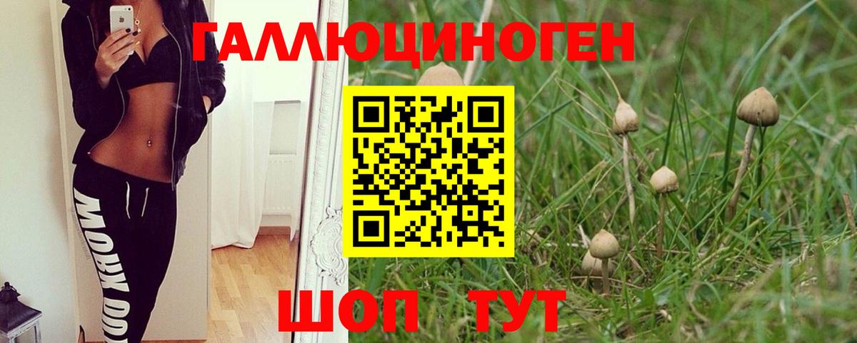 Псилоцибиновые грибы MAGIC MUSHROOMS Пыть-Ях
